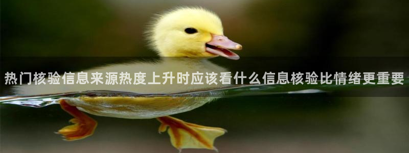 热点资讯排行