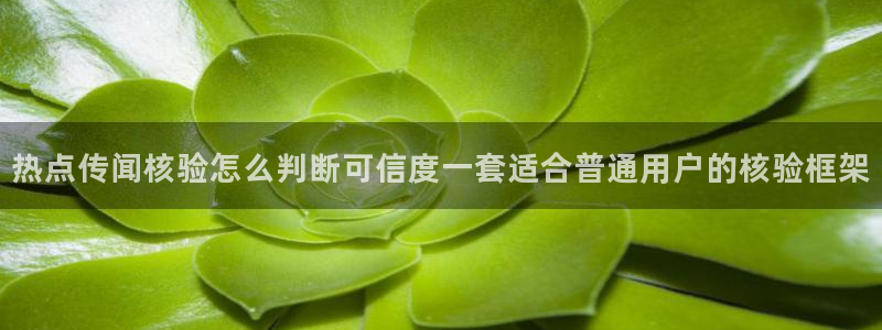 事件爆料动态