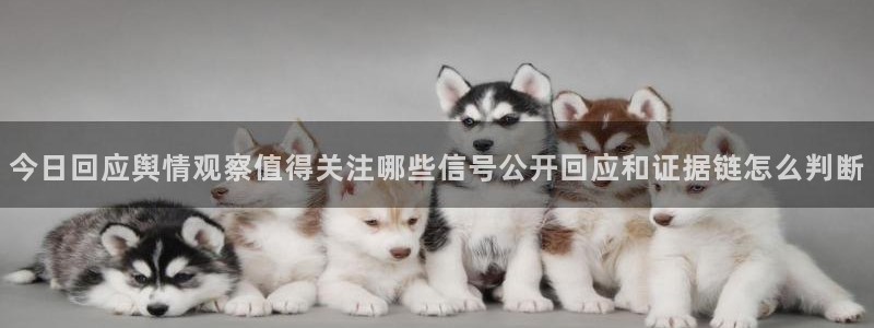 网络事件动态