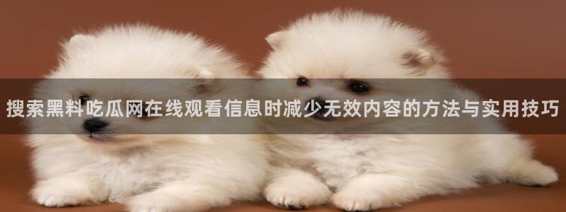 911爆料网络资讯