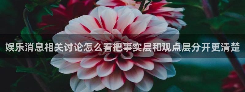 911爆料事件