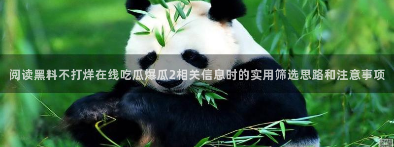 吃瓜资讯