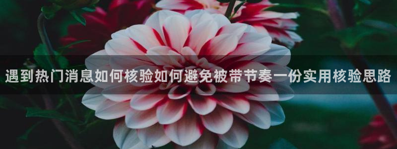 热点爆料事件